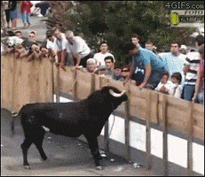 200.gif