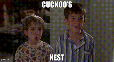 d0bdb225-6e32-424f-9bfa-6244b9a964f1_text.gif