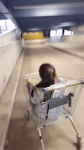 c490d10ef40308d092b176b7a15fb425.gif