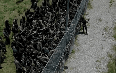5ab284672721ea7da95af70306ba1c88.gif