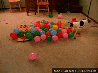 200w.gif