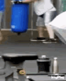 goose-old.gif