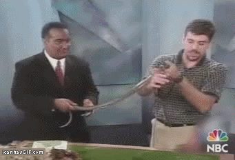 1fa1cc3102353deb90b4bb832632c1fe.gif