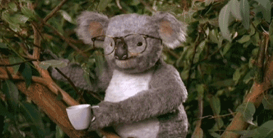 KdMi0.gif