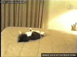 200.gif