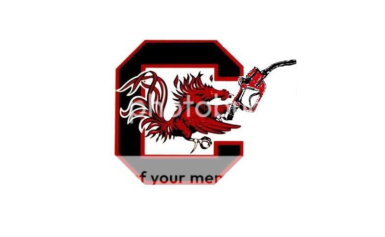 south-carolina-gamecocks-logo2.jpg