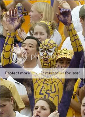 spiderman-lsu.jpg