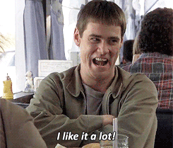 giphy-1.gif