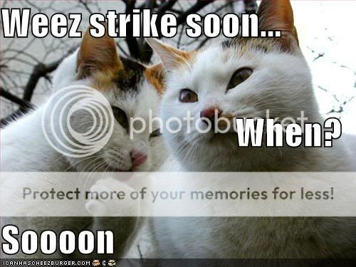 soon.jpg