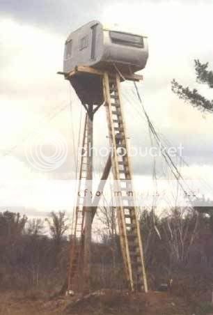 treehouse.jpg