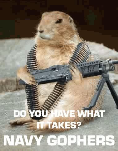 gopher.jpg