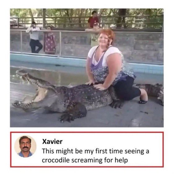 7A057fu.jpeg