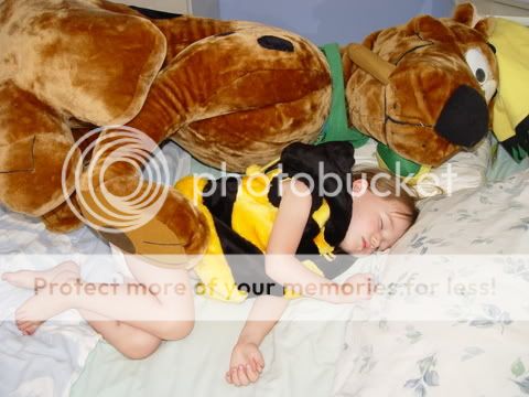 SydneyandScoobysleeping.jpg
