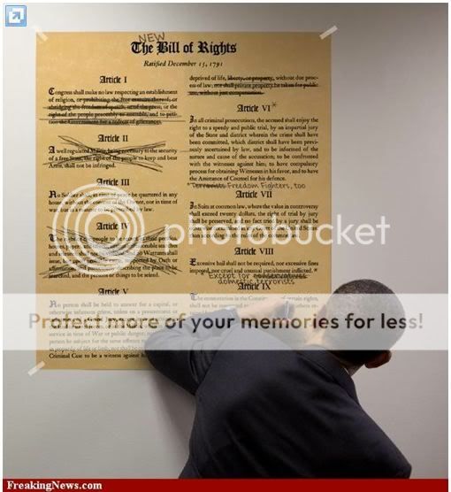 obamaConst-1.jpg