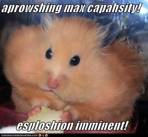 funny-pictures-classic-lol2.jpg