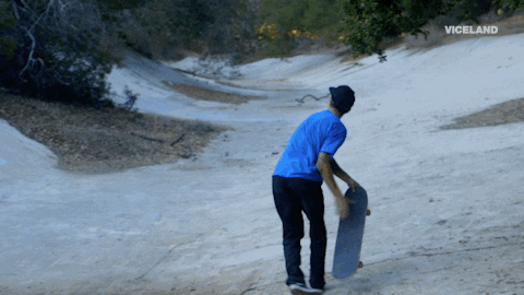 giphy.gif