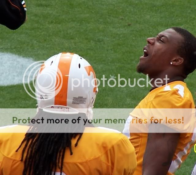 Berryyell.jpg