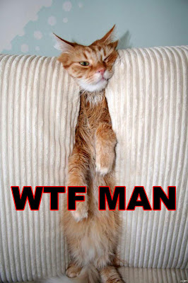 wtf+man.jpg