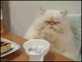 2dvmx3n.gif