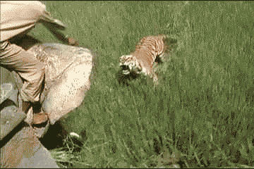 tumblr_ltbjxh4Zb21qzo3c9o1_400.gif