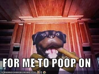 for-me-to-poop-on.jpg