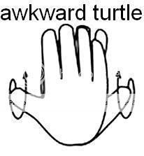 awkward_turtle.jpg