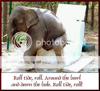 elephant_toilet.jpg