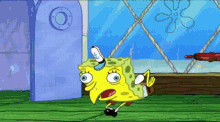 spongebob-meme-bird.gif