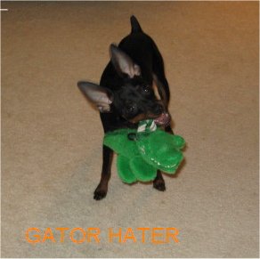 GatorHater1.jpg