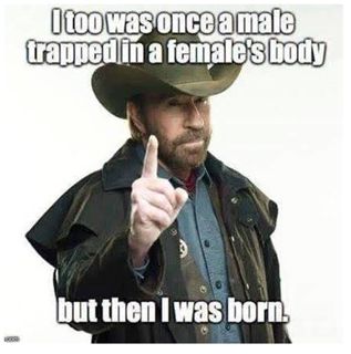 a7d4069e0e5e2ba4b6d7e39e815fa82b.jpg
