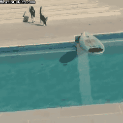 source.gif