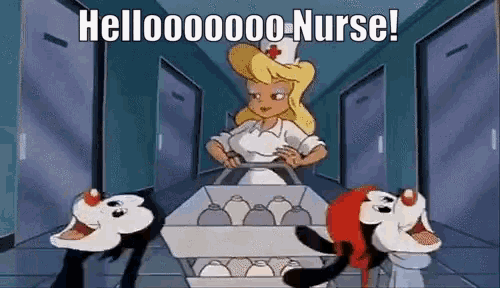 hello-nurse-ani-maniacs.gif