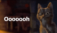 200w.gif