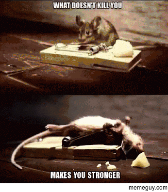 -rat-181933.gif