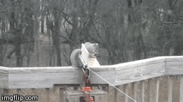 200.gif