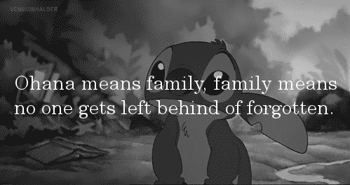 tumblr_n9jbaddtkN1tqyc86o1_500.gif