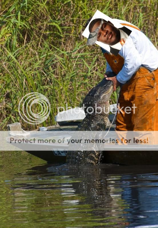 giantgatorturd.jpg
