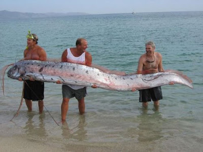 big-fish.jpg