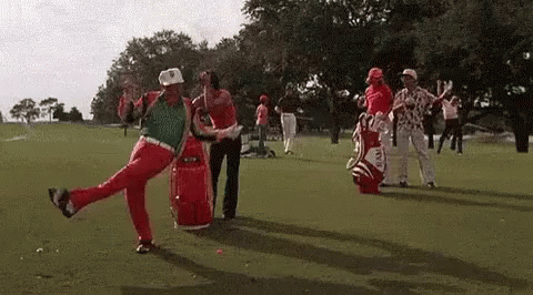 rodney-dangerfield-480-x-266-gif-17o95xrun7ed36bg.gif