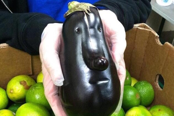 Eggplant-Face.jpg