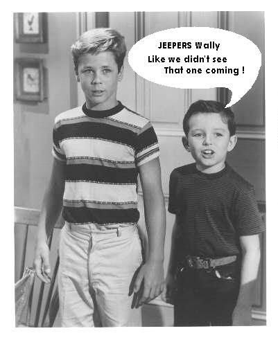 wally_beaver.jpg