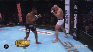 1.gif