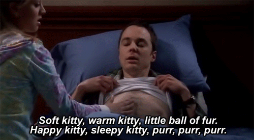 Soft_Kitty.gif