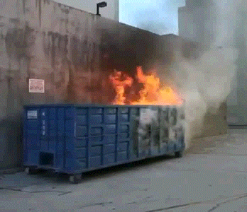 3409975.gif