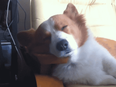 PFGnNyn.gif
