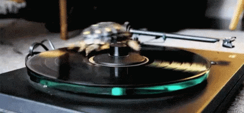 spinning-turtle-on-broken-record-sh6pf30b5rivb90v.gif