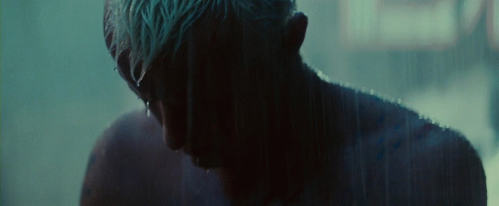 tumblr_m2wvqyXGZj1qklq7jo1_1280.gif