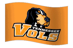 SmokeyVolsflag.gif