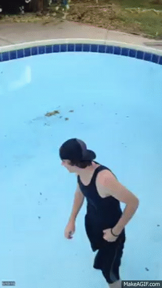 ruyJX-.gif