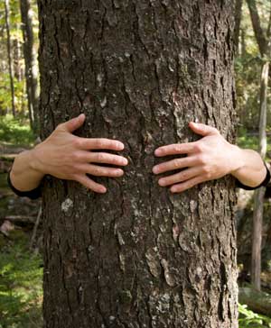 tree_hugger.jpg